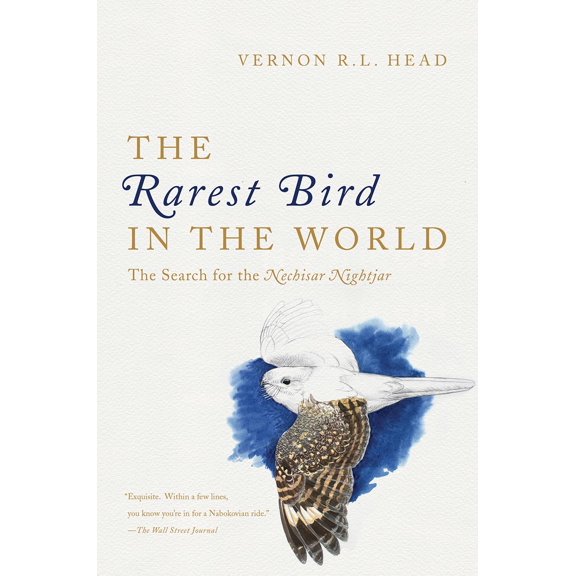 The Rarest Bird in the World : The Search for the Nechisar Nightjar (Paperback)