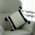 thumbnail image 2 of 16" Handwoven Cotton Throw Pillow Cover with Side Stripes, Black, 2 of 8