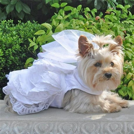 Doggie Design Wd 0208 0006 Dog Wedding Harness Dress Set
