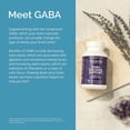 thumbnail image 4 of Dr Amen BrainMD GABA Calming Support - 90 Vegan Capsules - Promotes Relaxation - Contains Magnesium, Vitamin B6 & Lemon Balm - 90 Servings, 4 of 6