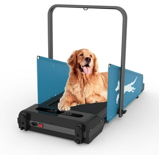 INTBUYING Dog Proform Treadmill Pet Exercise Equipment for Canine Running  LED Display
