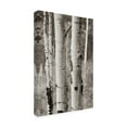 thumbnail image 2 of Debra Van Swearingen 'Aspens II' Canvas Art, 2 of 3