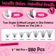 thumbnail image 3 of Kit de Extensión de Pestañas PROLASHBEAUTY Grupos de Pestañas 280 Pzas Rizo D, 3 of 7