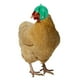 thumbnail image 3 of Casco para Pollo XWSHYW Suministros para Mascotas 1 Ud, 3 of 4