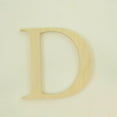 thumbnail image 1 of Package of 1, 12 Inch X 1/2" Thickness Baltic Birch Wood Letter D in The Times New Roman Font, Thick, Upper Case for Art & Craft Project, Made in USA, 1 of 4