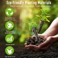 thumbnail image 7 of Hydroponic Salad Vegetable Kit | Lettuce & Spinach Seeds Compatible with All Hydroponic Systems • Complete Grow Set • Fresh Home Greens • Year-Round Harvest • Easy Indoor Gardening, 7 of 7