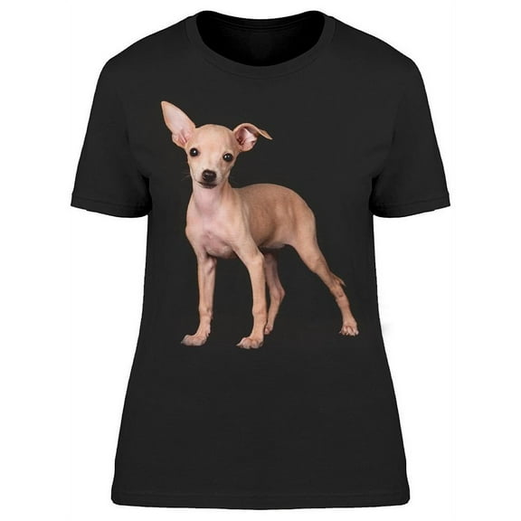 Tiny Fawn Italian Greyhound Pup T-Shirt Women -Image by Shutterstock, Female Large