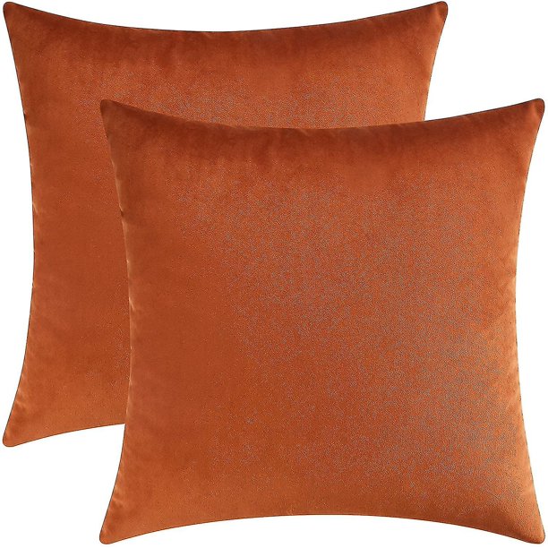 Juego de 2 acogedoras fundas de almohada decorativas rectangulares de terciopelo para sofá y cama, 12 x 20 pulgadas