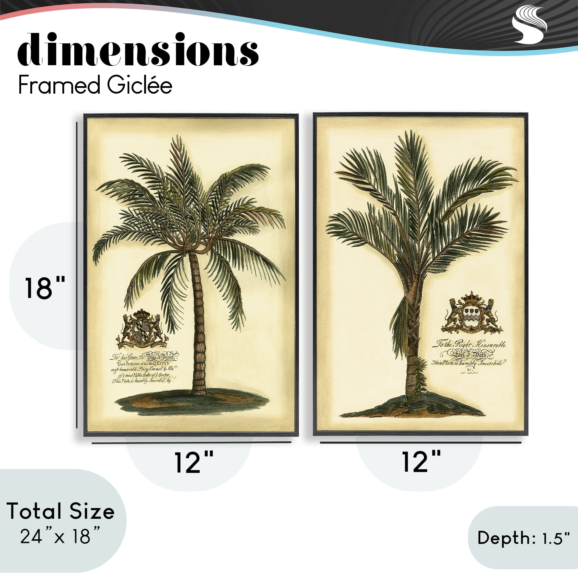 Stupell Industries Vintage Historical Palms 2 Piece Black Framed Giclee Art Set, design by Vision Studio