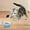 bleu, variante sur Bol d'Alimentation Durable pour Animaux avec Poignées pour Chiens et Chats, Bol Non Alimentaire et d'Eau pour Chiots, Conception à Prise Facile