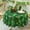 Green, variant on Green Floral Toile Tablecloth Waterproof- Rectangular Vintage Table Cover for Kitchen Parties Coffee Tables, Boho Table Cloth Perfect for Spring Home Decor, W60 x L84