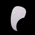 thumbnail image 4 of De Protección Antiarañazos De Carcasa Con  la adaptaciónción A La Guitarra Acústica Gloria color blanco perla, 4 of 4