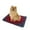 Blue, variant on Shldybc Pet Heating Pad for Dogs and Cats, Electric Pads for Dogs Cats, Pet Heated Mat, Winter Warm Self-heating Storage Heating Pad for Cats and Dogs, Heating Pads