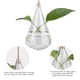 thumbnail image 3 of Maceta colgante de cristal con gancho transparente, terrario colgante, florero de planta en maceta, decoración para el hogar y la Oficina, 3 of 7