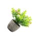 thumbnail image 2 of Ounissouiy Árbol artificial del dinero de la durabilidad duradera verde en el suculento artificial elegante respetuoso del medio ambiente del Decoración aliento de bebé rosa, 2 of 6