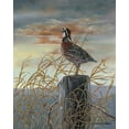 thumbnail image 2 of Mock, Carolyn 12x14 Black Ornate Wood Framed with Double Matting Museum Art Print Titled - Quail on a Post, 2 of 4