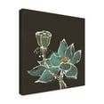 thumbnail image 2 of Trademark Fine Art 'Lotus on Black I' Canvas Art by Chris Paschke, 2 of 3