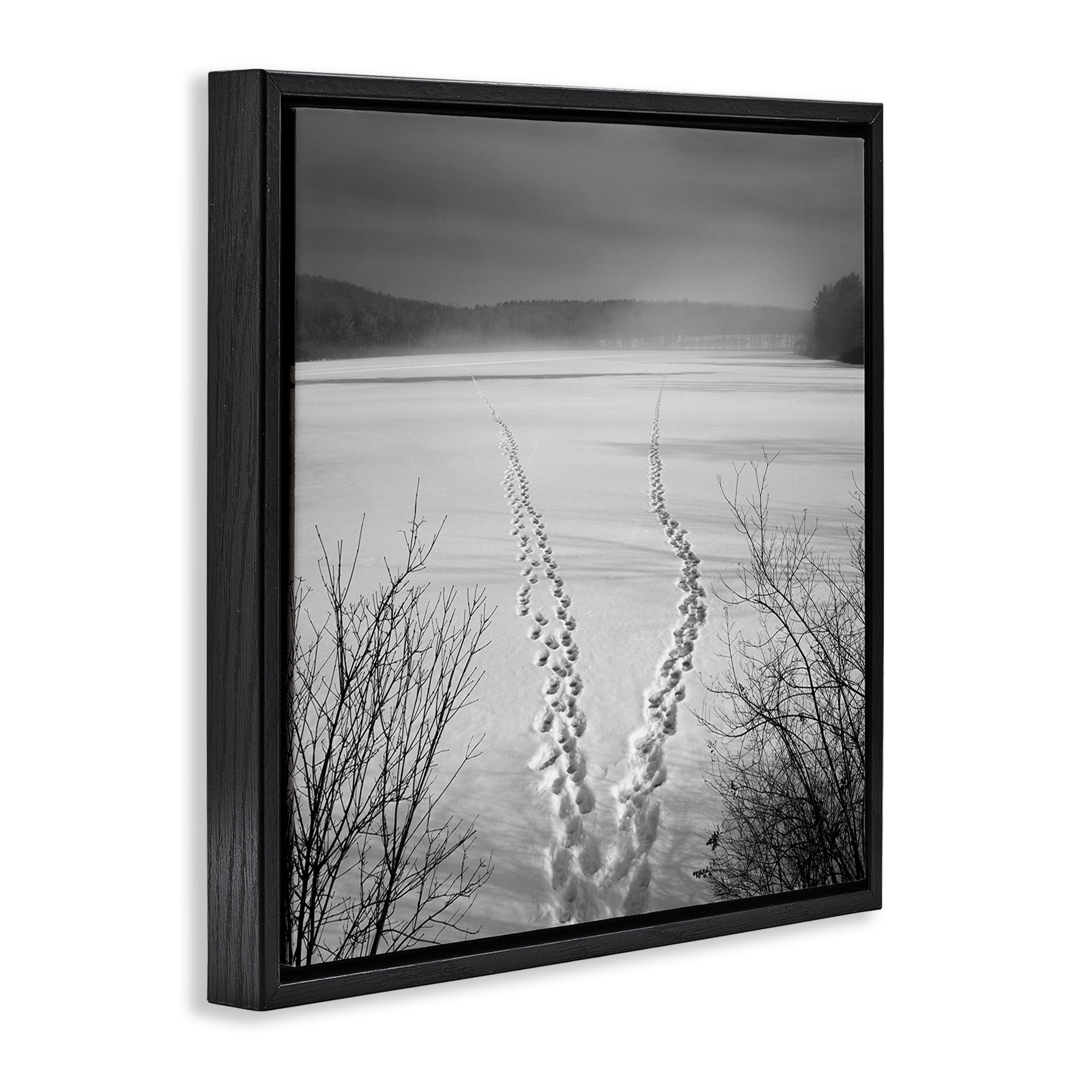 Stupell Industries Snowstep Tracks Across Frozen Lakes Black Framed Floater Canvas Wall Art, design by Chip Forelli