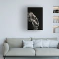 thumbnail image 2 of Alexandre Brouzes 'The Fragile Squaw' Canvas Art, 2 of 4