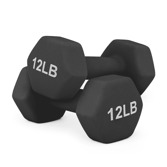 RTRWDC 2x12LB Easy Grip Workout Dumbbells, Neoprene Coated Cast Iron Home Gym Dumbbells, Hexagon Anti-Roll Arm Fitness Weight Training Equipment (Black)