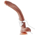 thumbnail image 1 of Shkanla 17.3 Inch Super Long Realistic Dildo, Built in Skeleton Flexible Dildo with Strong Suction Cup, Silicone Huge Big Anal Dildos, Giant Dildos Large Penis Stimulator Sex Toy for Women Men Gay, 1 of 8