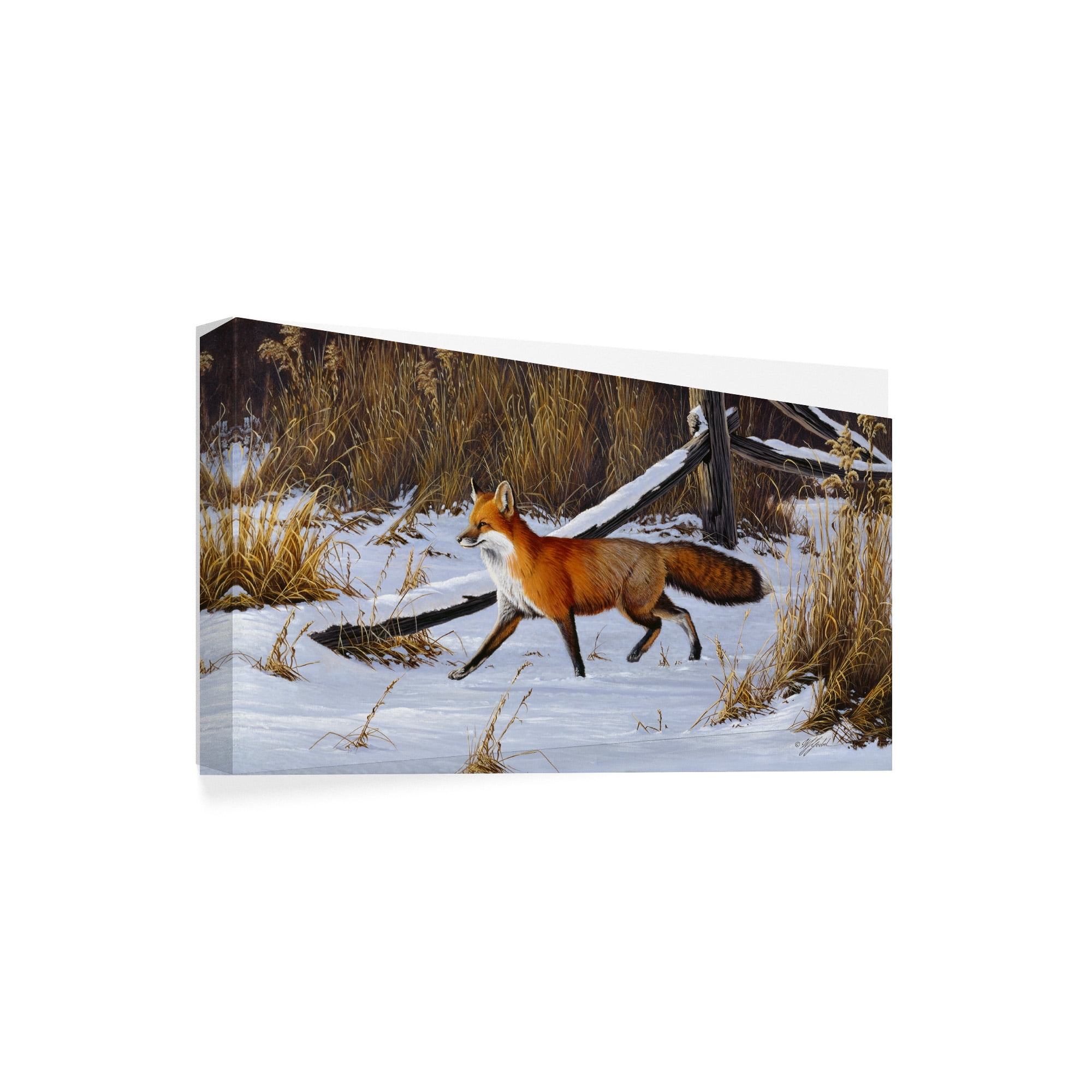 Trademark Fine Art 'Fox Trot Red Fox' Canvas Art by Wilhelm Goebel
