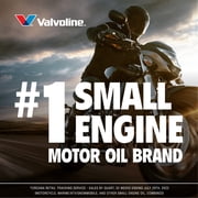 Valvoline 4-Stroke Motorcycle Full Synthetic 10W-40 Motor Oil 1 QT
