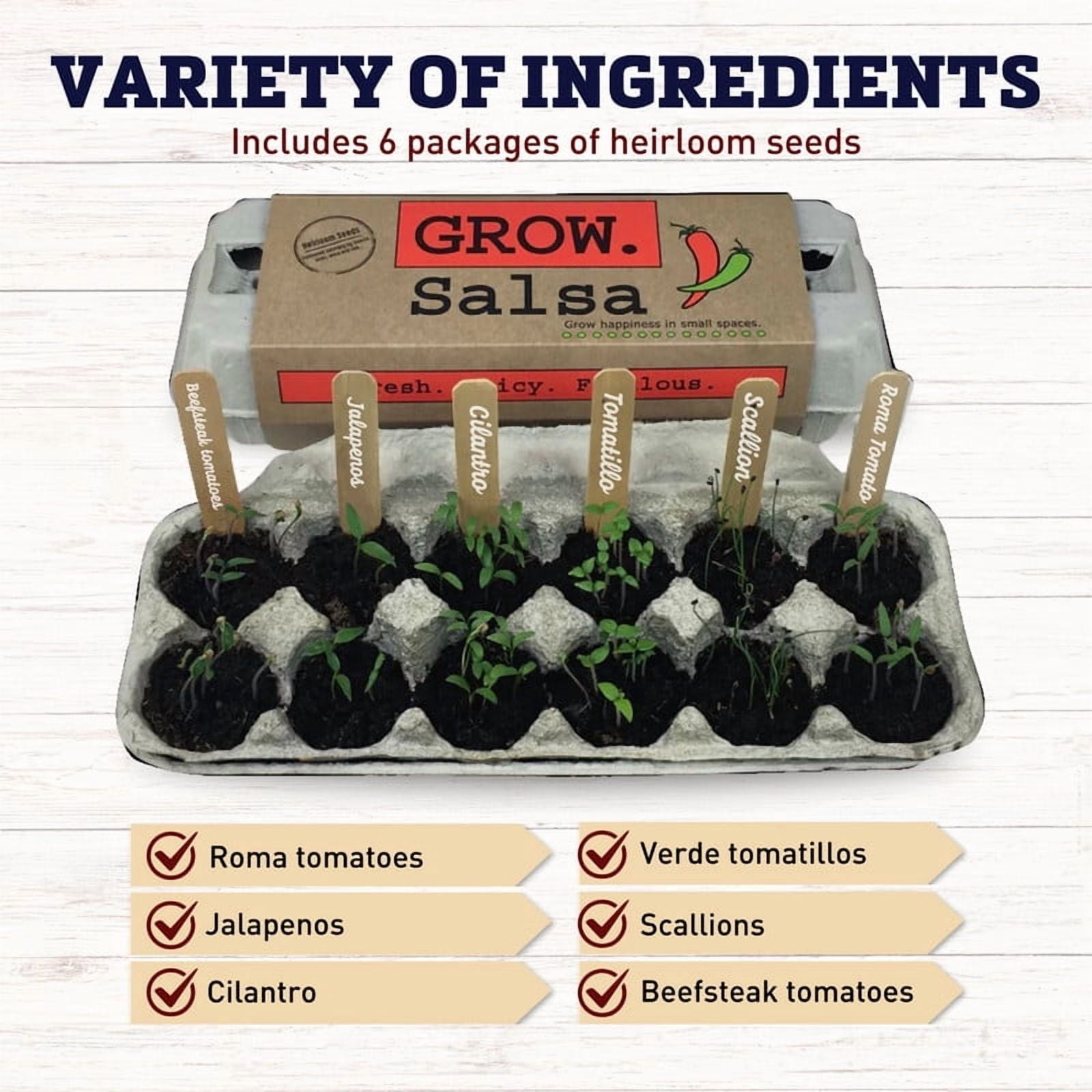 Harris Seeds Grow Gardens Grow Salsa Kit with Heirloom Seeds, Egg Carton Planter and Recipes