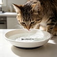 thumbnail image 6 of Shallow Cat Food Plate Wide Flat Kitten Feeding Bowl with Non-Slip Silicone Base Fish Bone Paw Print Pet Food Dish for Cat Puppy Small Animals Dry Wet Food Whisker Fatigue Relief, 6 of 7