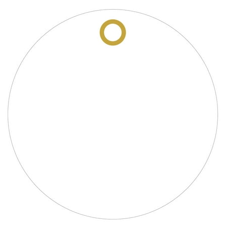 

White Plastic 3 inch Circle Tags metal eyelet 100/order (15pt plastic)