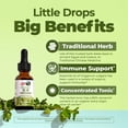 thumbnail image 6 of MaryRuth's Liquid Oregano Supplement, Pre-Diluted with Extra Virgin Olive Oil, Vegan, Gluten-Free, Dairy-Free, Unisex, 1 fl oz, 6 of 12