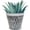 Rustic White, variant on Headwind Ironlite Leighton Collection – 4" Charcoal Decorative Plant Pot for Porch Decor Flower Pots Indoor & Outdoor – Perfect for Patio & Garden Décor Use by Robert Allen