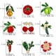 thumbnail image 4 of Xiao Hua 2 broches para mujer, con forma de ramillete de esmalte de frutas y flores, broche de cereza, arándano, fresa y aceite - C04, 4 of 5