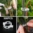 thumbnail image 5 of PURELY- 300X Useful Tomato Veggie Garden Plant Support Clips Trellis Twine Greenhouse Us, 5 of 6