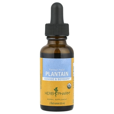 Herb Pharm Plantain Extract 1 oz Liquid