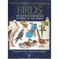Pre-Owned The Illustrated Encyclopedia of Birds: The Definitive Reference to Birds of the World (Hardcover) 0130836354 9780130836359