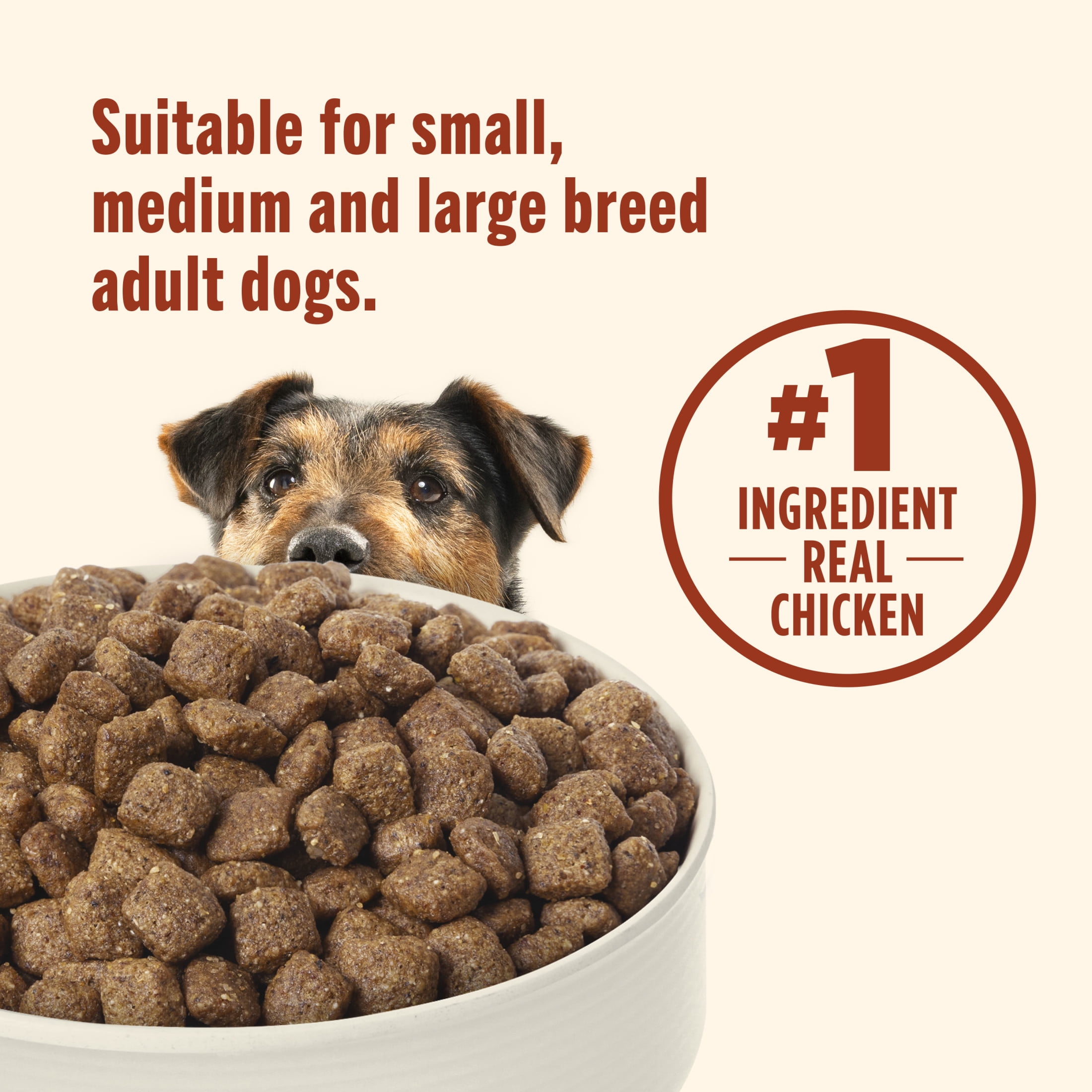 Nutrish Everyday Immune Support Chicken, Salmon, Blueberry & Pumpkin Recipe Dry Dog Food, 13lb Bag