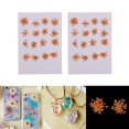 thumbnail image 1 of 2x Hermosas Flores Prensadas Reales, Flores Secas, Hojas Secas, Ammi Artesanías DIY Decoración PROYECTOS PAPEL RESINA R BLESIY Flores secas prensadas naturales, 1 of 8