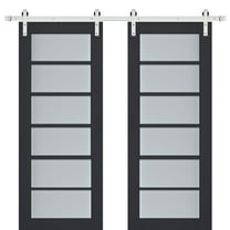 Sturdy Double Barn Door with Frosted Glass | Veregio 7602 Antracite | 13FT Rail Hangers Heavy Set | Solid Panel Interior Doors-84" x 96" (2* 42x96)-Silver Rail
