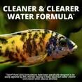 thumbnail image 6 of Tetra TetraCichlid Floating Cichlid Sticks Fish Food, Nutritionally Balanced Diet, 5.65 oz., 6 of 11