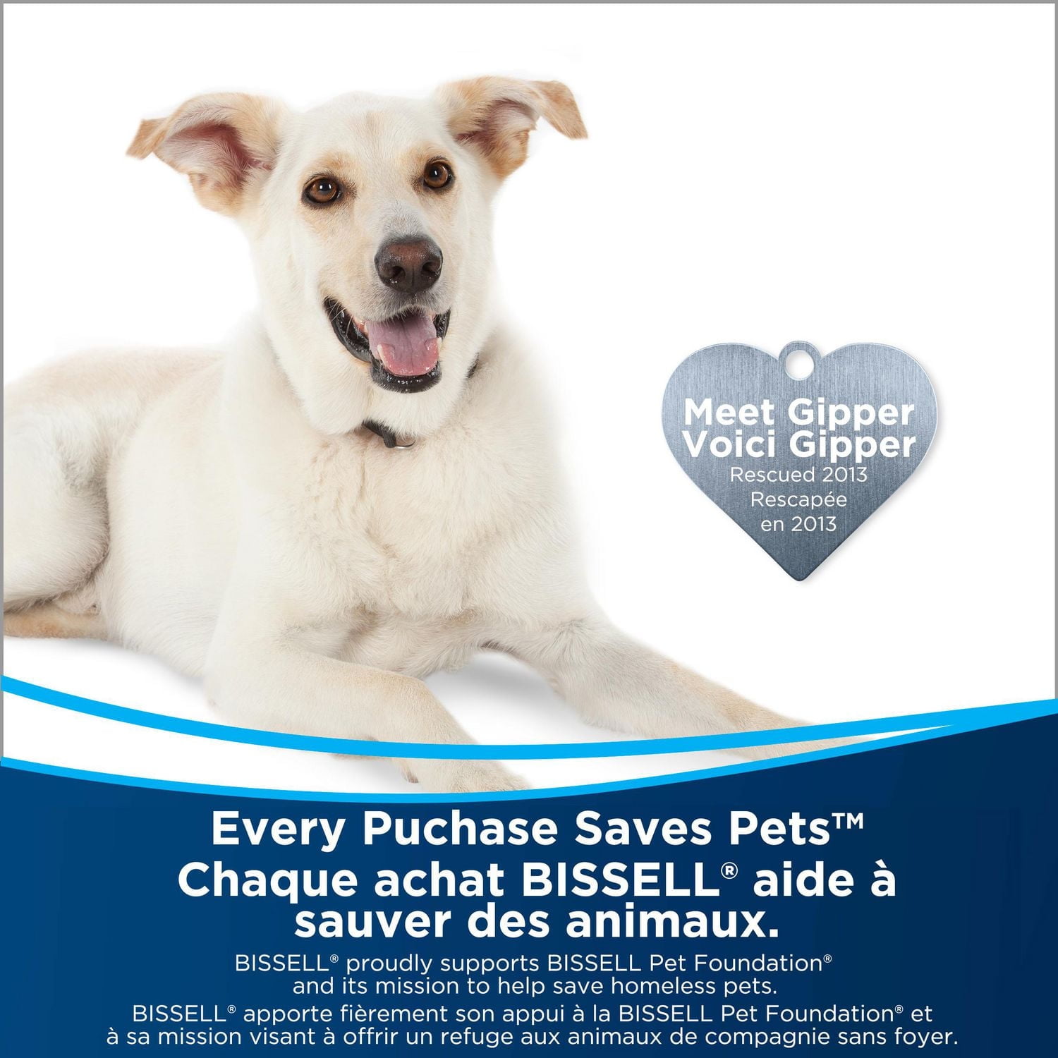 BISSELL® traitement préalable des taches OXY