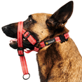 thumbnail image 2 of Zevey Adjustable Dog Head Halter with Safety Strap, Soft Padded Dog Head Collar for Small Medium Large Dogs, No-Pull Dog Harness for Training and Walking (Large, Red), 2 of 7