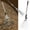 As show_Base#36343, variant on Adjustable Garden Leaf Rake with Telescoping Handle, Metal 9-Tine Yard Rake for Lawns, Leaves, Grass and Debris, Lightweight Tool for Easy Storage