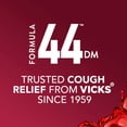 thumbnail image 3 of Vicks Formula 44 DM Cough & Congestion Liquid, Cough Medicine for Adults, Berry, 2x12 fl oz, 3 of 13