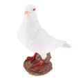 thumbnail image 1 of Elegante Escultura de Estatua de Pájaro de Jardín Artificial para Decoración para hogar Del Césped . Coleccionistas de Pájaros Blanco c shamjiam Pájaros Artesanales Emplumados, 1 of 6
