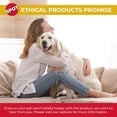 thumbnail image 6 of Ethical Pet 077234546949 5 in. Spot Best Friends Dog Dish Bowl, 6 of 6