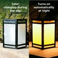 thumbnail image 6 of Techko Solar Portable Lantern - Amber or White Light (Clear Panel), 6 of 12