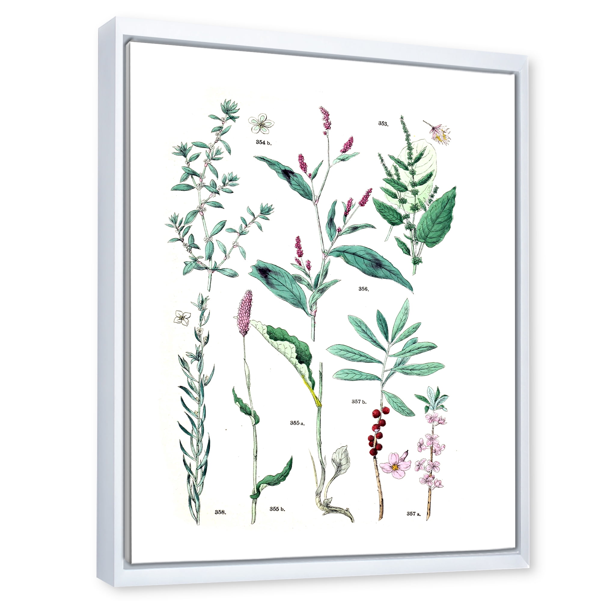 Designart 'Ancient Plants' Traditional Framed Canvas Wall Art Print