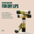 thumbnail image 2 of The Body Shop Hemp Heavy Duty Lip Care Moisturizing Natural Lip Balm with Woody Scent, 2 of 6