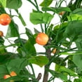thumbnail image 4 of Northlight 6.5' Green and Red Potted Artificial Apple Tree with Two Tone Green Leaves, 4 of 5